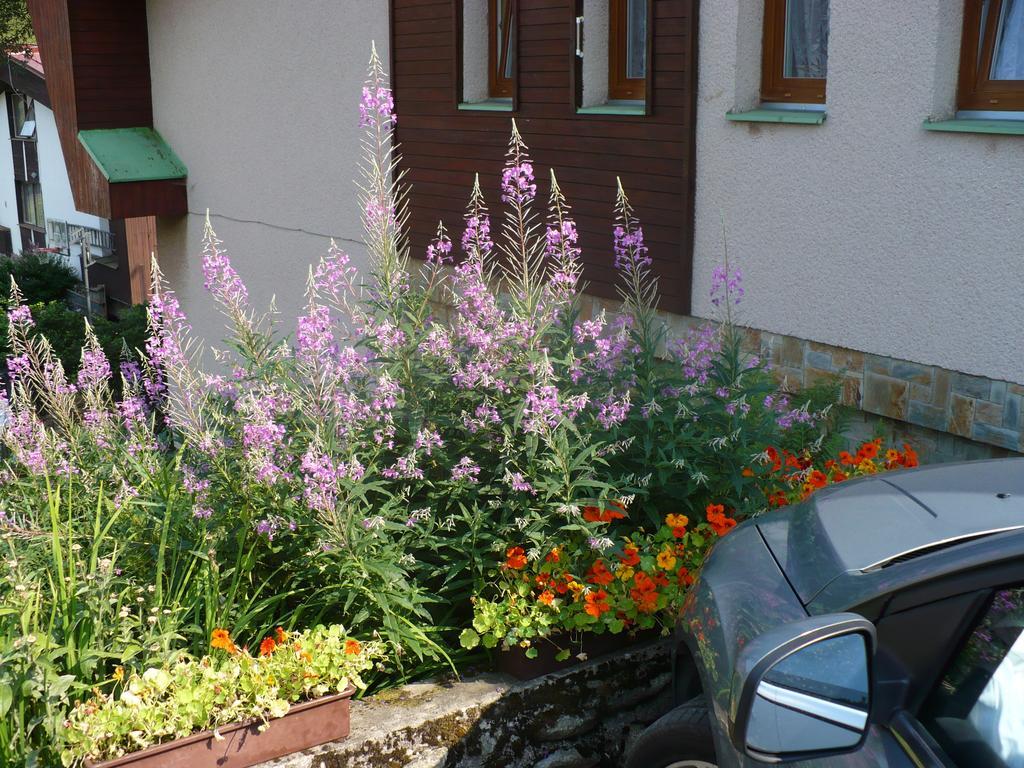 Ubytování Zmatlíková Pec pod Sněžkou Exterior foto