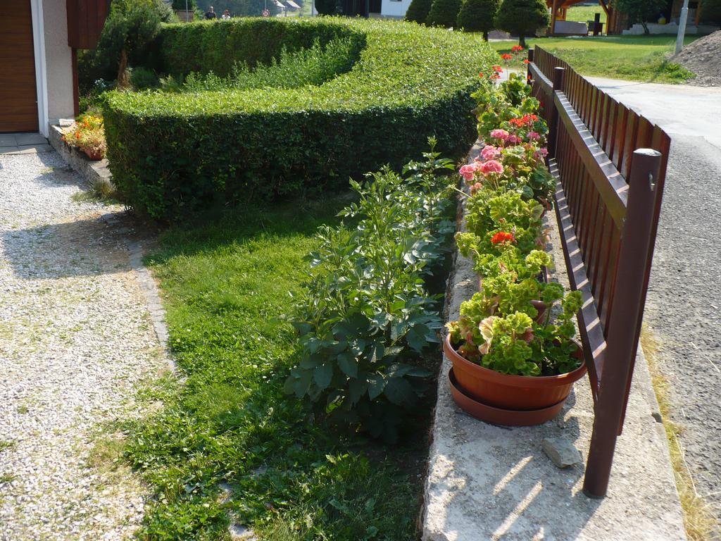 Ubytování Zmatlíková Pec pod Sněžkou Exterior foto